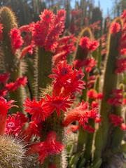 Go to image 7.