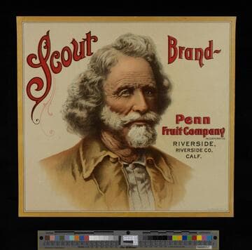 Scout Brand