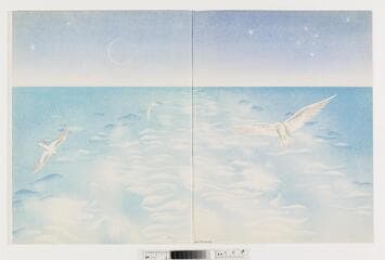 Go to image 28.