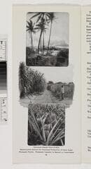 Go to image 13.
