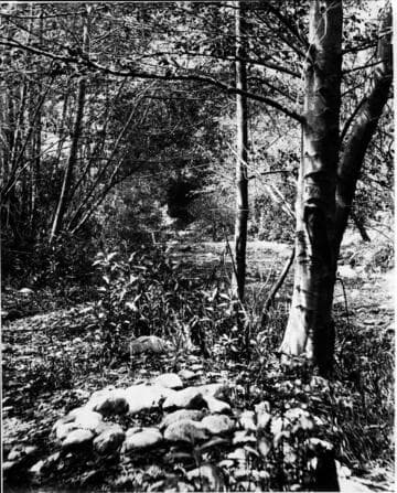 In the Arroyo Seco