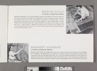 Go to image 13.