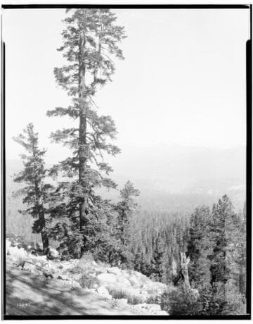 Big Creek Scenery