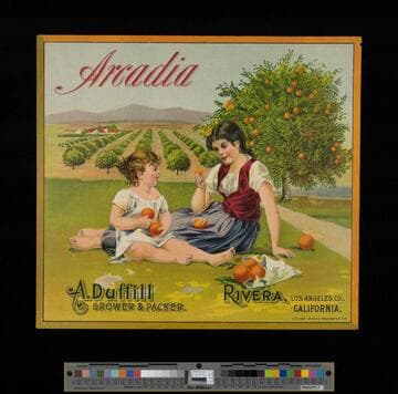 Arcadia