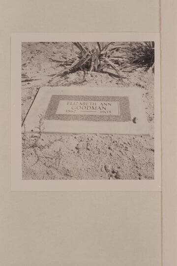 Grave of Elizabeth Ann Goodman. Vernal Cemetery. Elizabeth Ann was the third wife of Frank Valentine Goodman