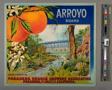 Arroyo Brand