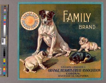 Family Brand