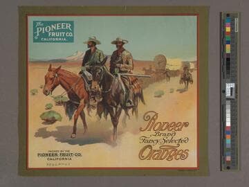 Pioneer Brand