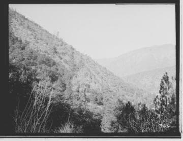Hillside